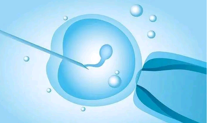 天津代孕多胞胎,试管移植前感冒了有影响吗-上海供卵试管公司有哪些-受精卵着