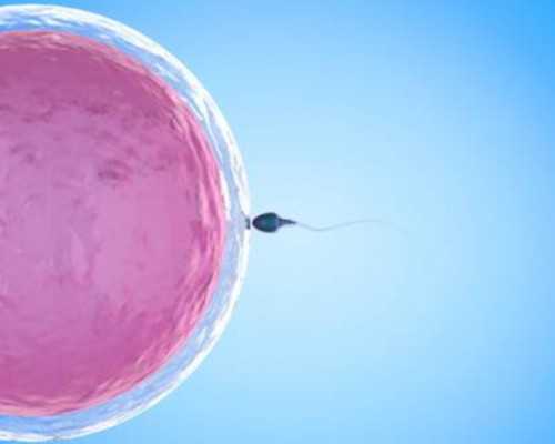 切除子宫能试管_子宫半切除后怀孕,卵巢早衰怎么治疗，卵巢早衰可以做供卵试