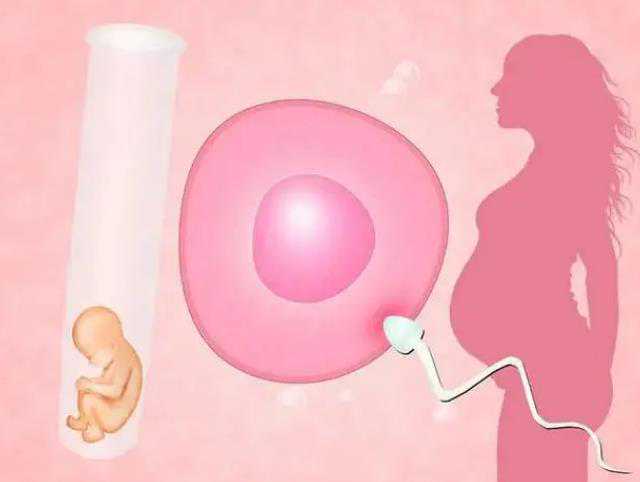 输卵管过长_子宫切除如何怀孕,31岁就卵巢早衰，在河北霸州市能供卵试管婴儿