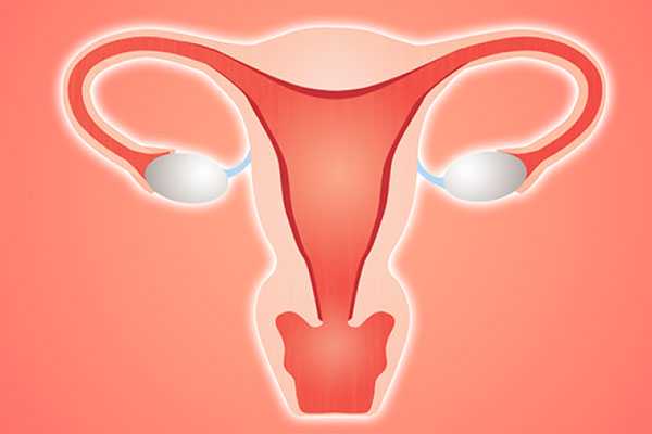 子宫瘤切除后怀孕_输卵管狭窄,卵巢早衰怎么做海外三代试管婴儿？