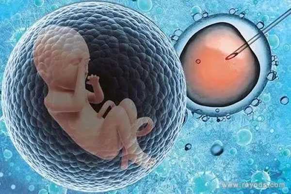 子宫部分切除怀孕_染色体异常流产吗,卵巢早衰的人可以做试管吗？成功率怎么