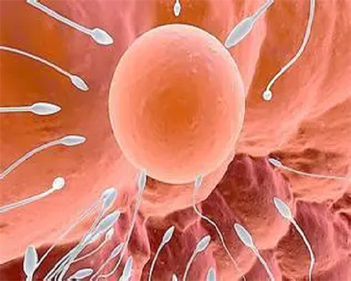 天津有几多个代孕公司,天津供卵试管机构怎么联系