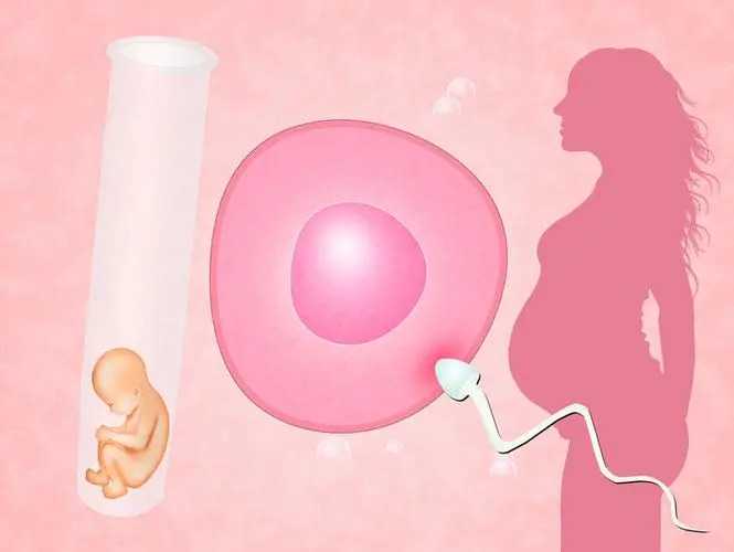 子宫卵巢切除试管_宫颈病变_哪些情况不能做试管婴儿?