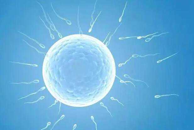 天津借卵子中心 天津医科大学第二医院生殖医学中心 ‘通过孕囊数值看男女’
