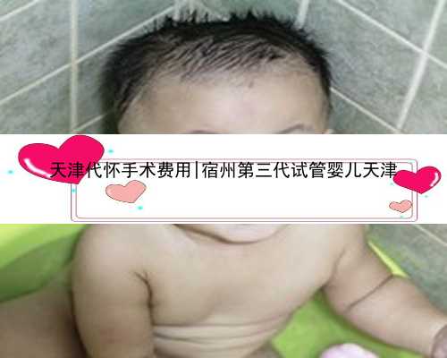天津代怀手术费用|宿州第三代试管婴儿天津